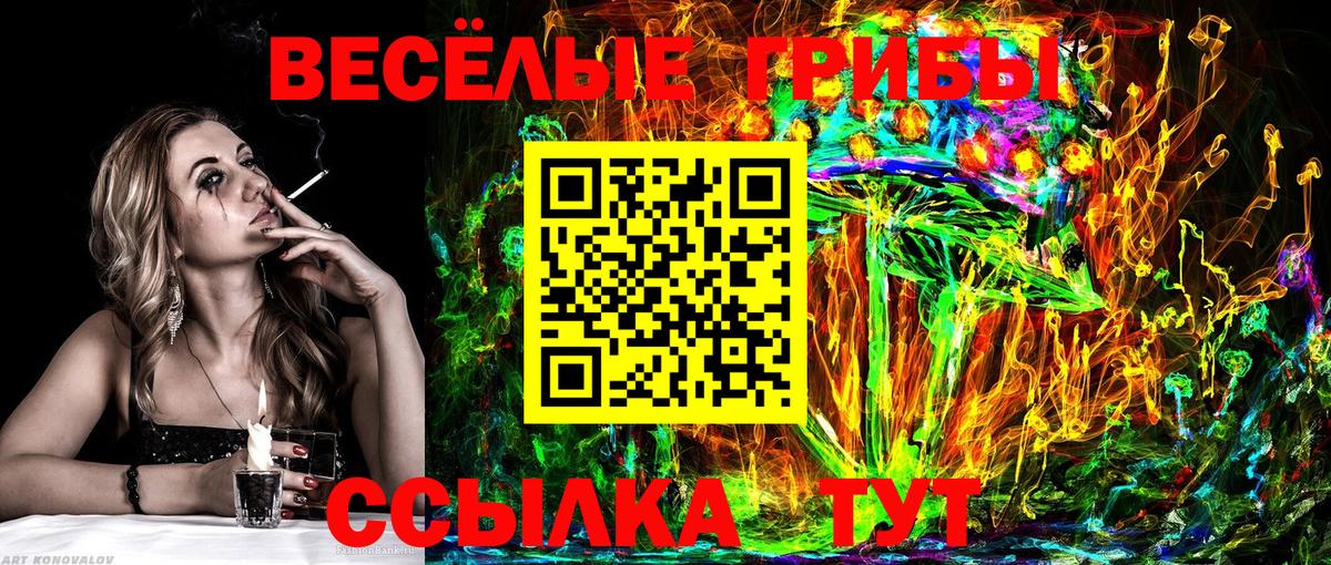 Псилоцибиновые грибы Psilocybine cubensis Светлоград