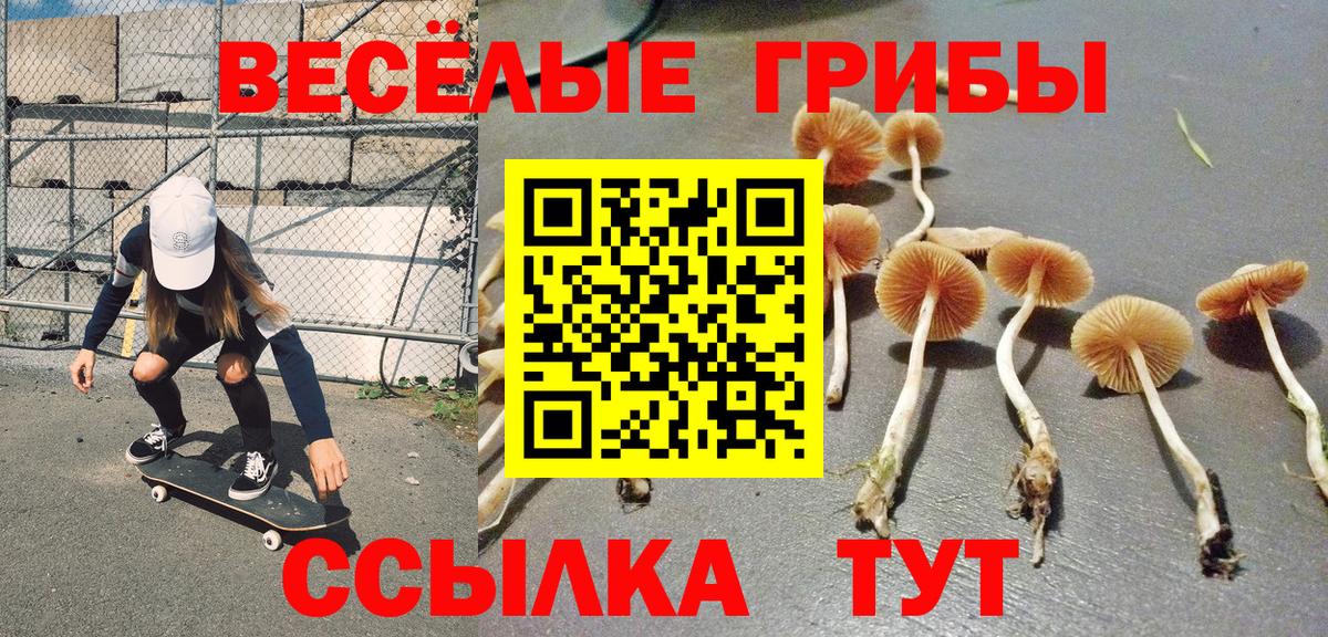 Псилоцибиновые грибы Magic Shrooms  Вход с VPN  где купить наркотик  Светлоград 